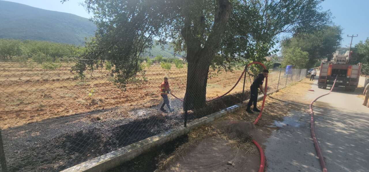 Menteşe’de Bahçe Yangını: Havadan Müdahale Başladı 5